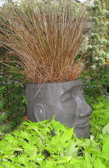 osterinselbreitseitlich Osterinselkopf breit