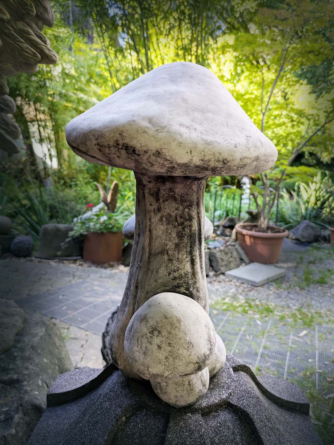Mega-Pilze