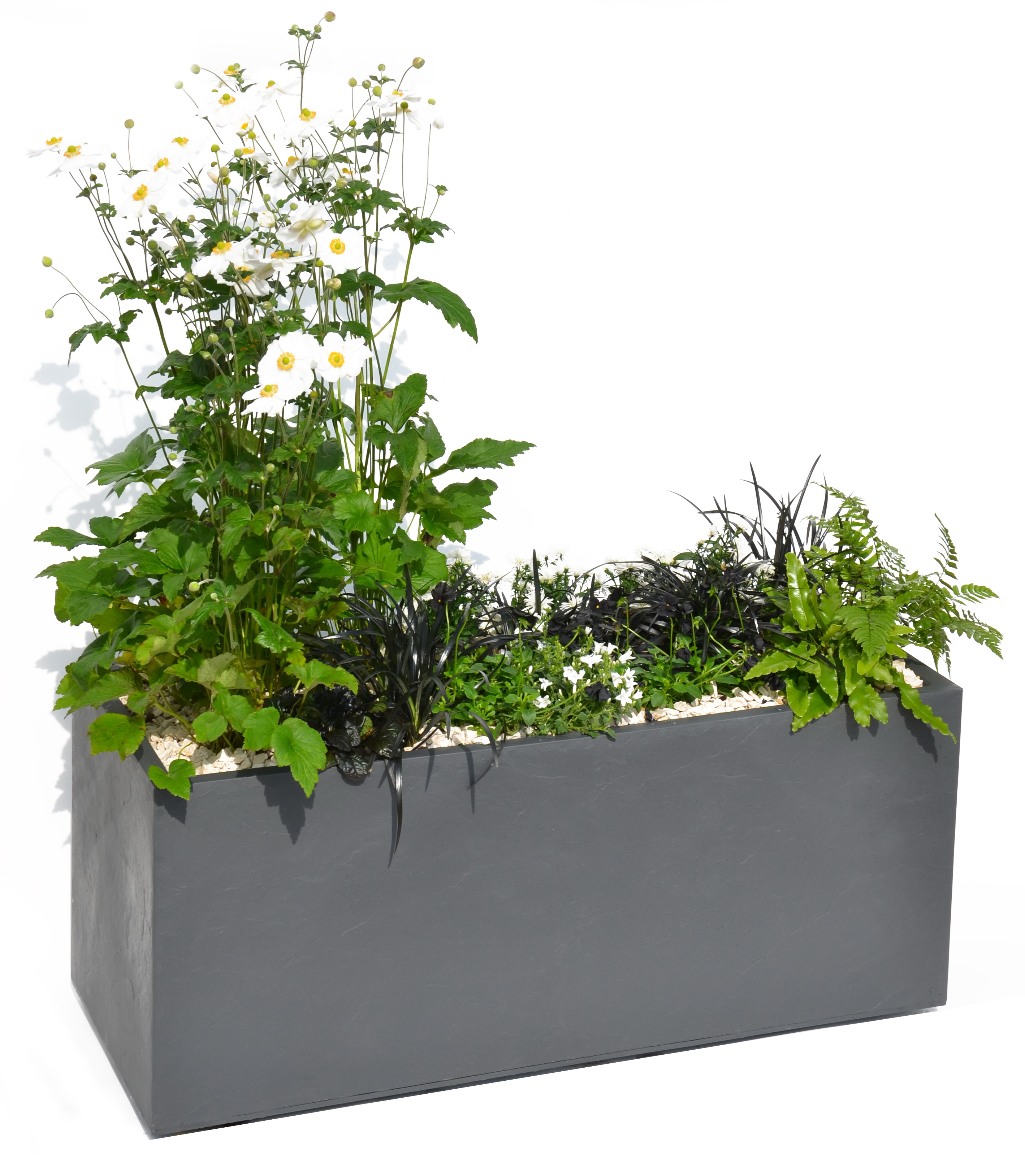 13731-G-GL-plantes Pflanzkasten in Steinoptik