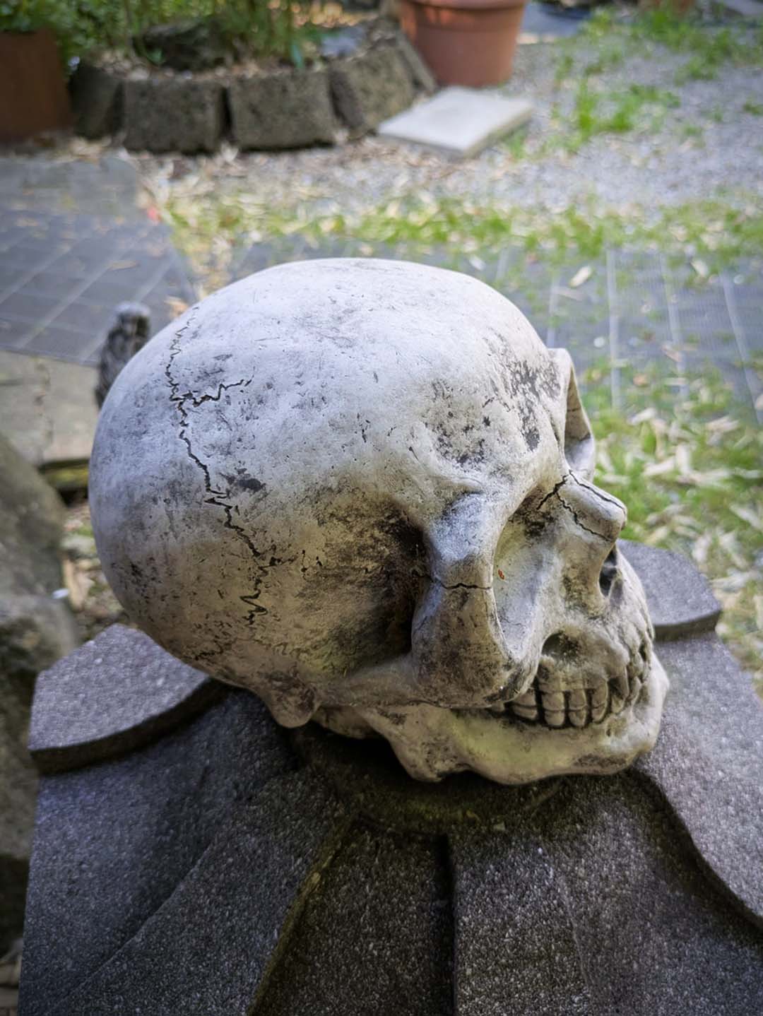 Totenkopf / Schädel