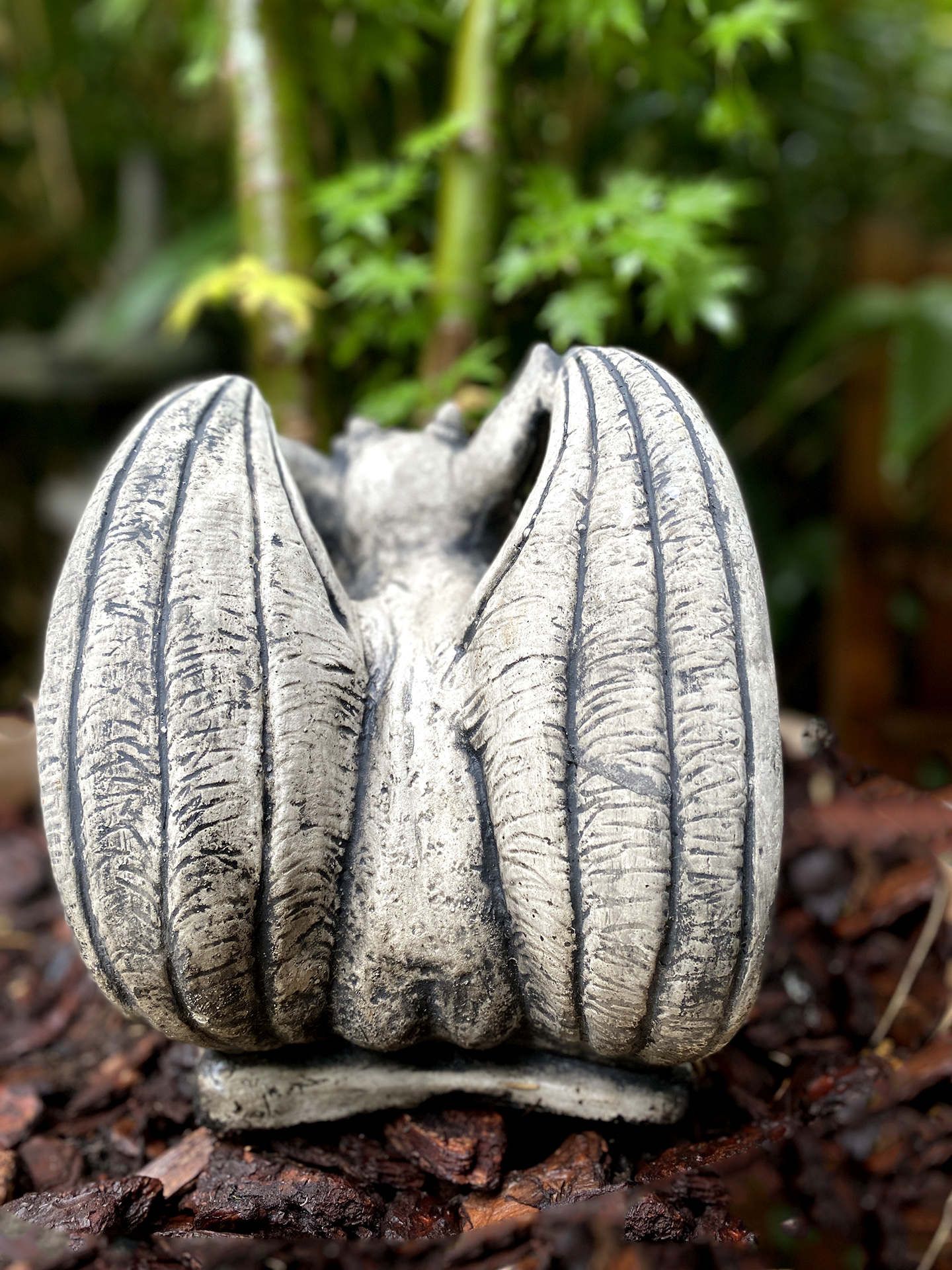 Kleiner ausheckender Gargoyle