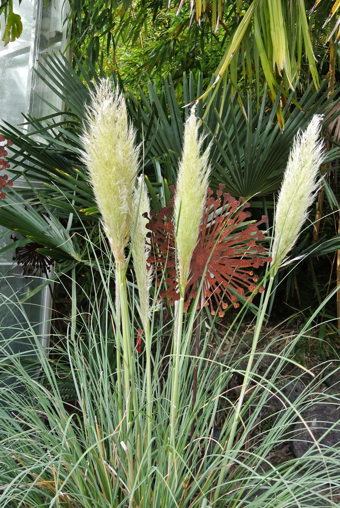 Alliumblüte aus Cortenstahl