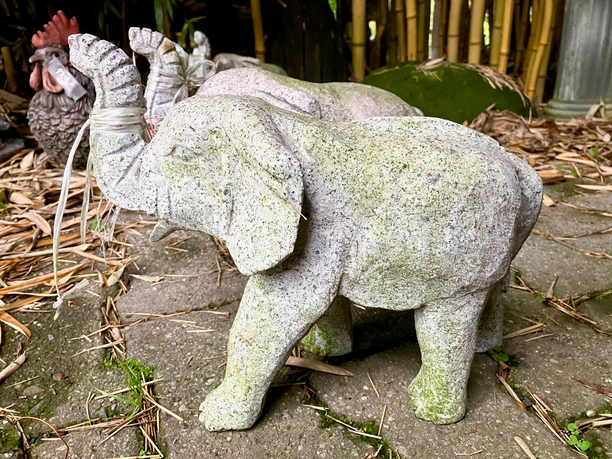 Eli Granitelefant mit Rüssel nach oben
