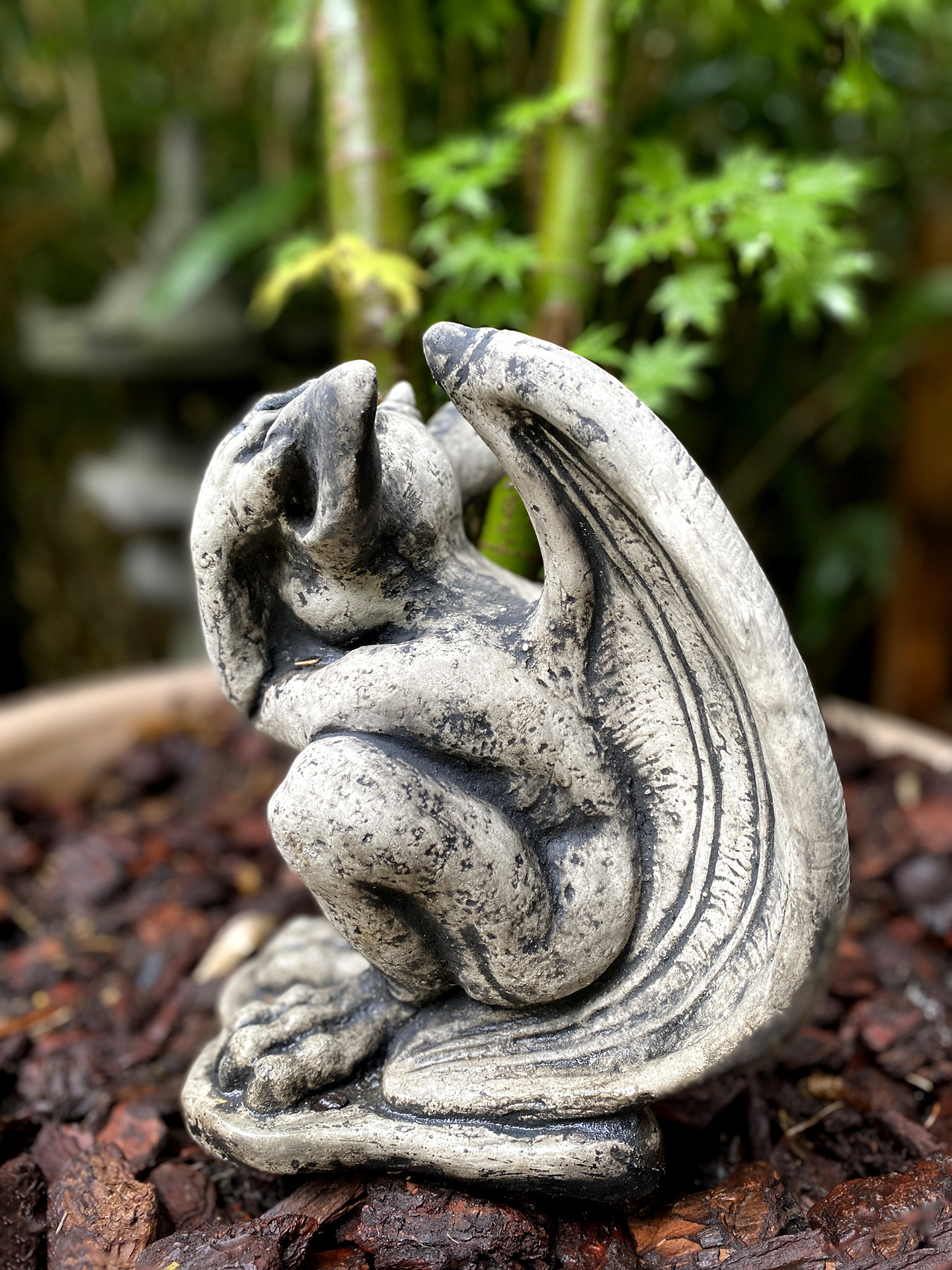 Kleiner ausheckender Gargoyle