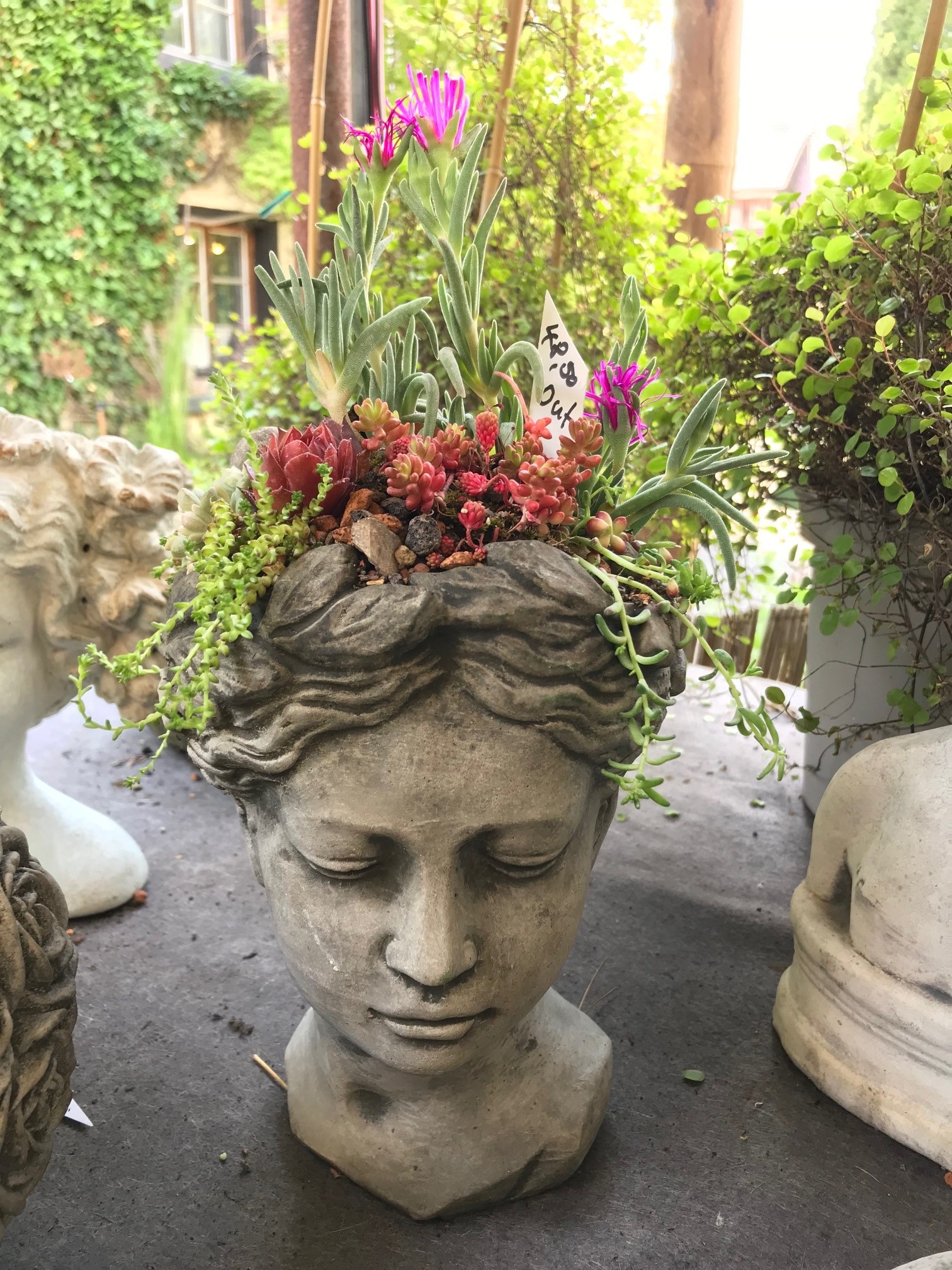 kopf-bepflanzt Pflanzkopf Mädchen Mittel