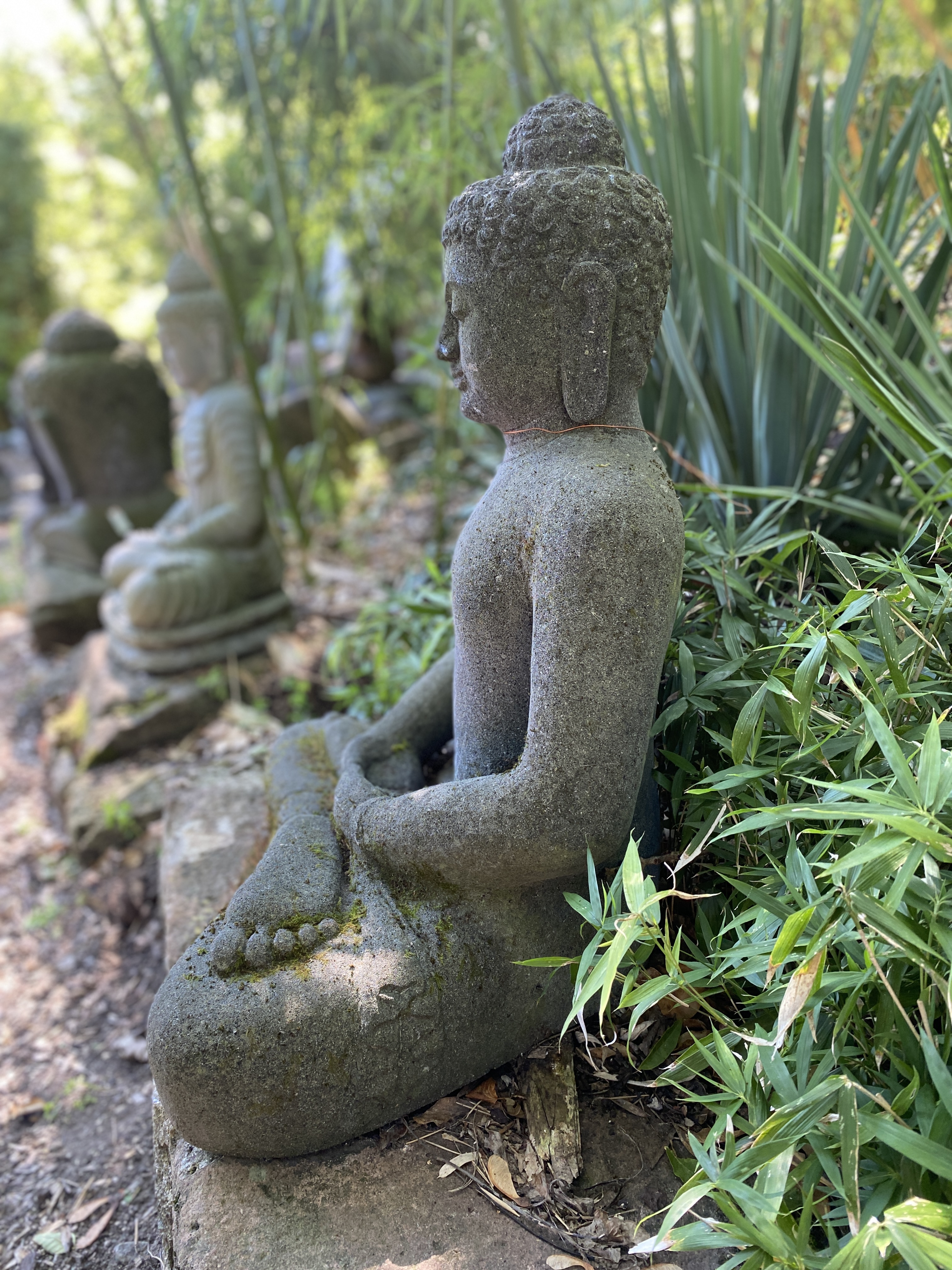 Buddha im Dhyana Mudra der Meditation