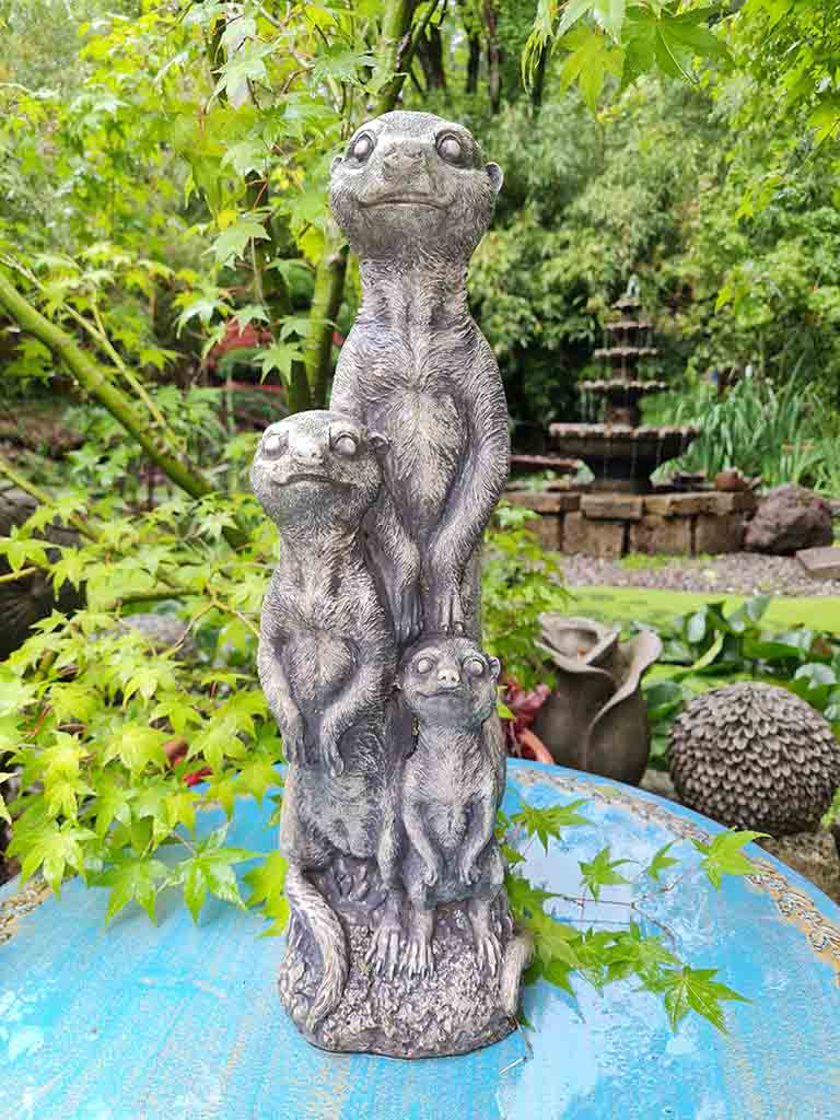 20210715_171809 Erdmännchen Familie