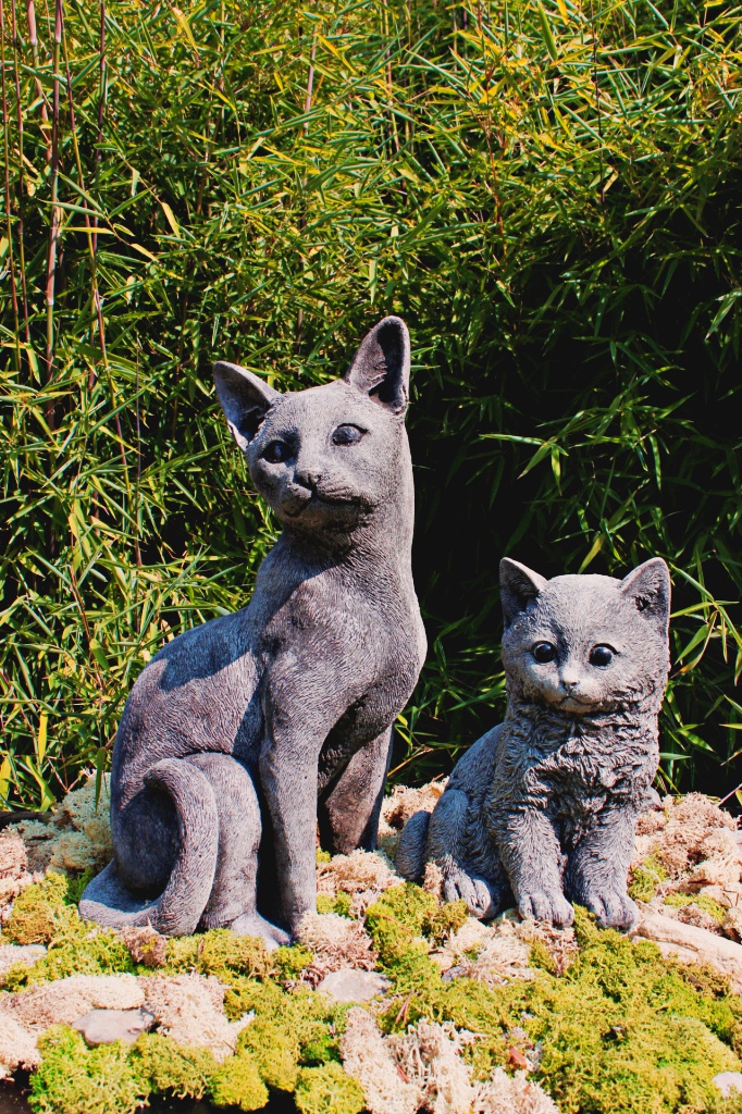 Sitzende Katze