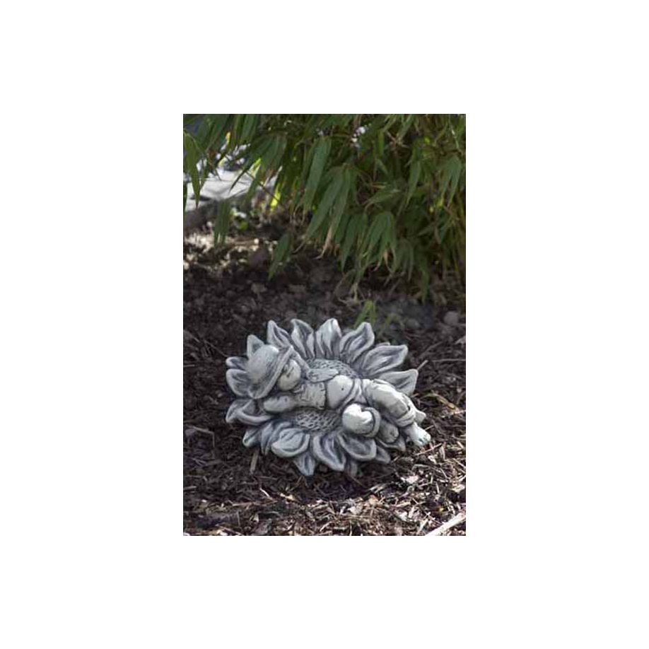 Spr-ssling-sonnenblume Sprössling SONNENBLUME