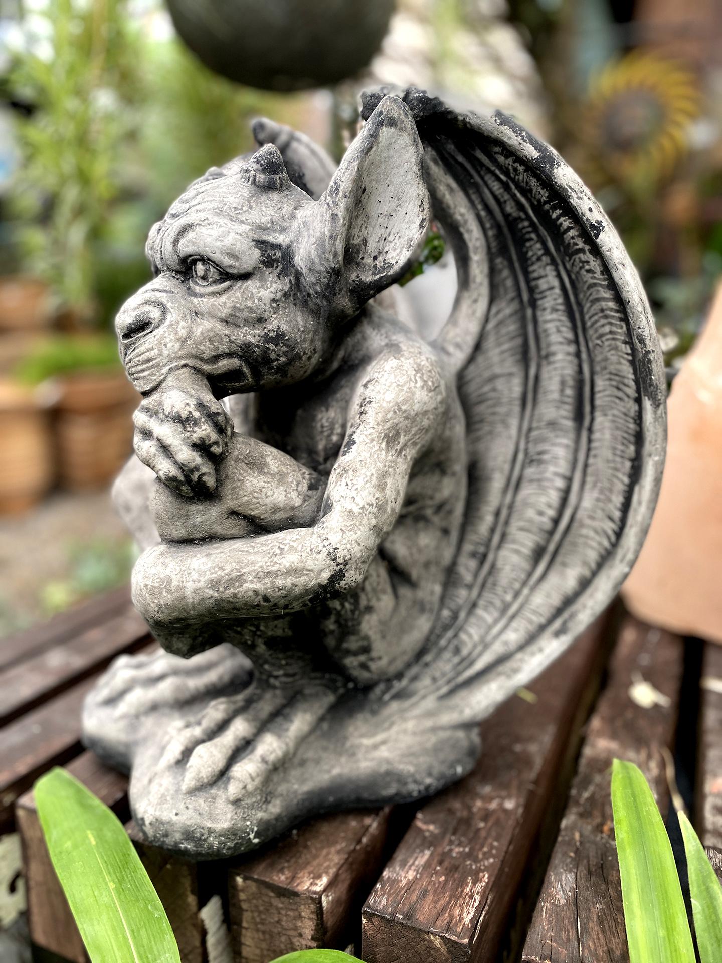 Kleiner Grübel-Gargoyle