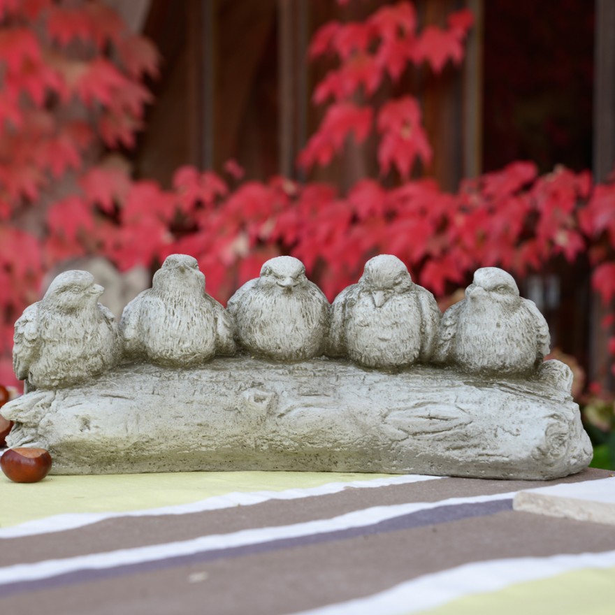 V-gelchen-auf-Ast Fünf Vögel auf Baumstamm