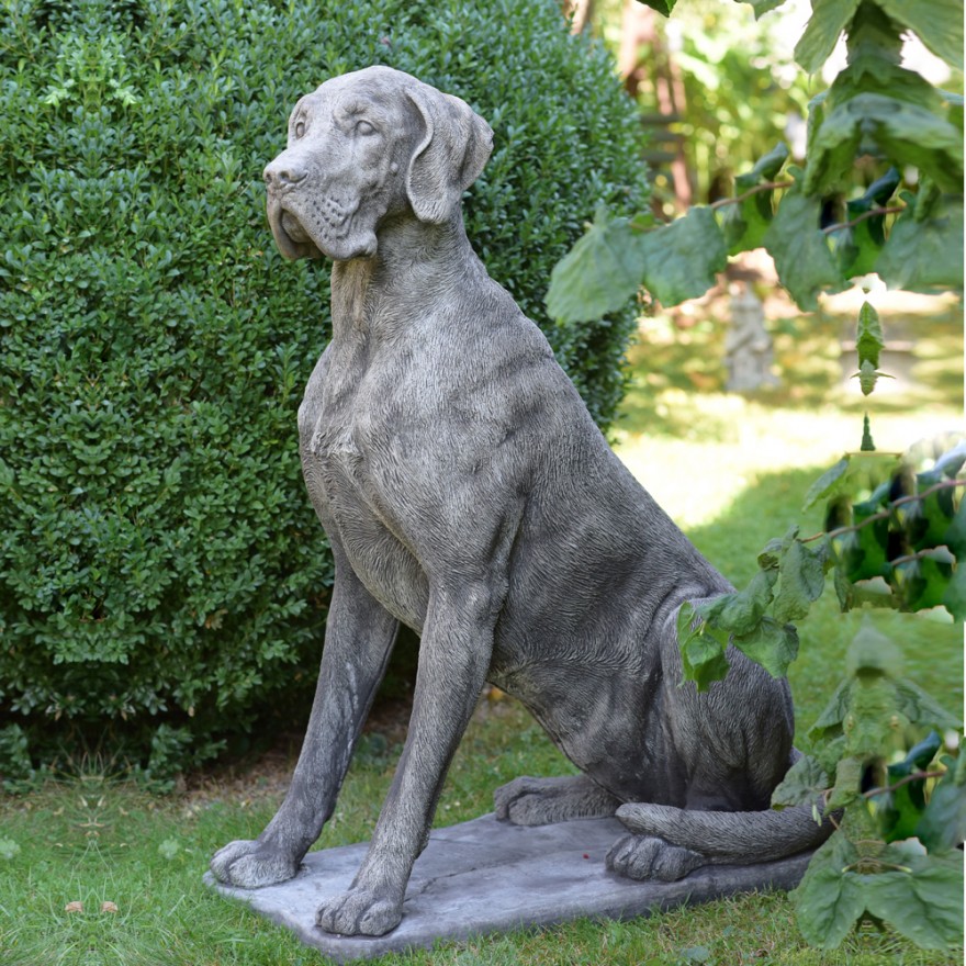 Große deutsche Dogge