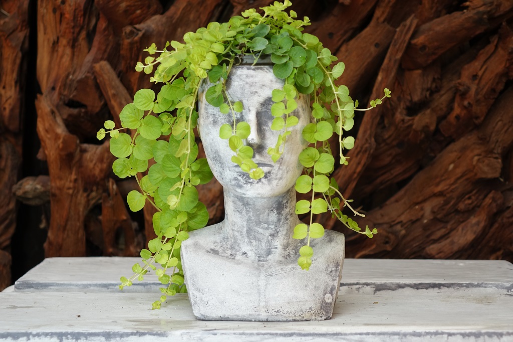 H-nde-als-Pflanzgef-ss-2-gr-ssen Pflanzkopf Pflanzgefäß