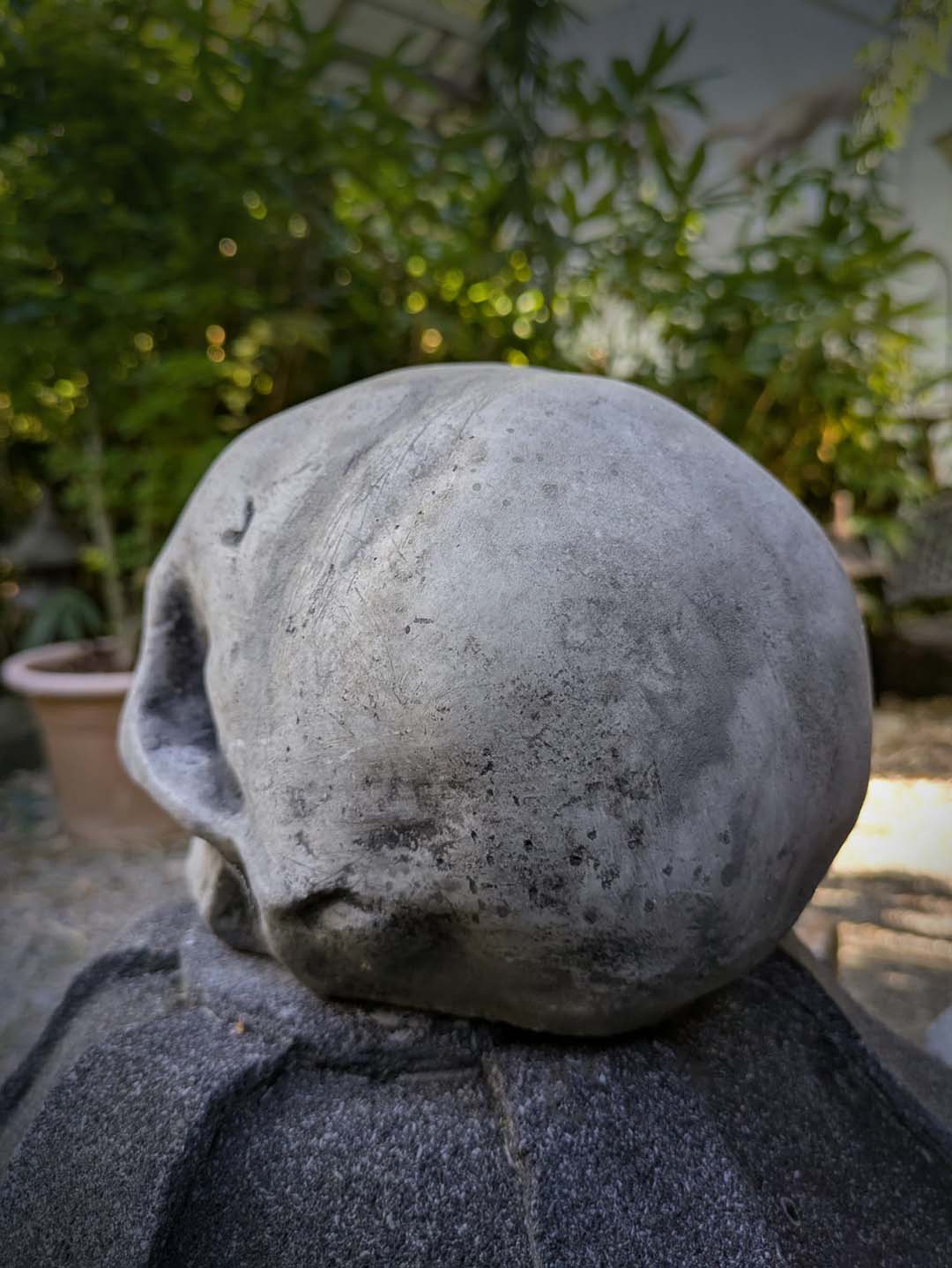schräger Schädel