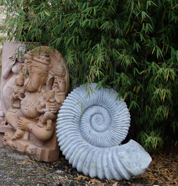 Ammonit - Schnecke