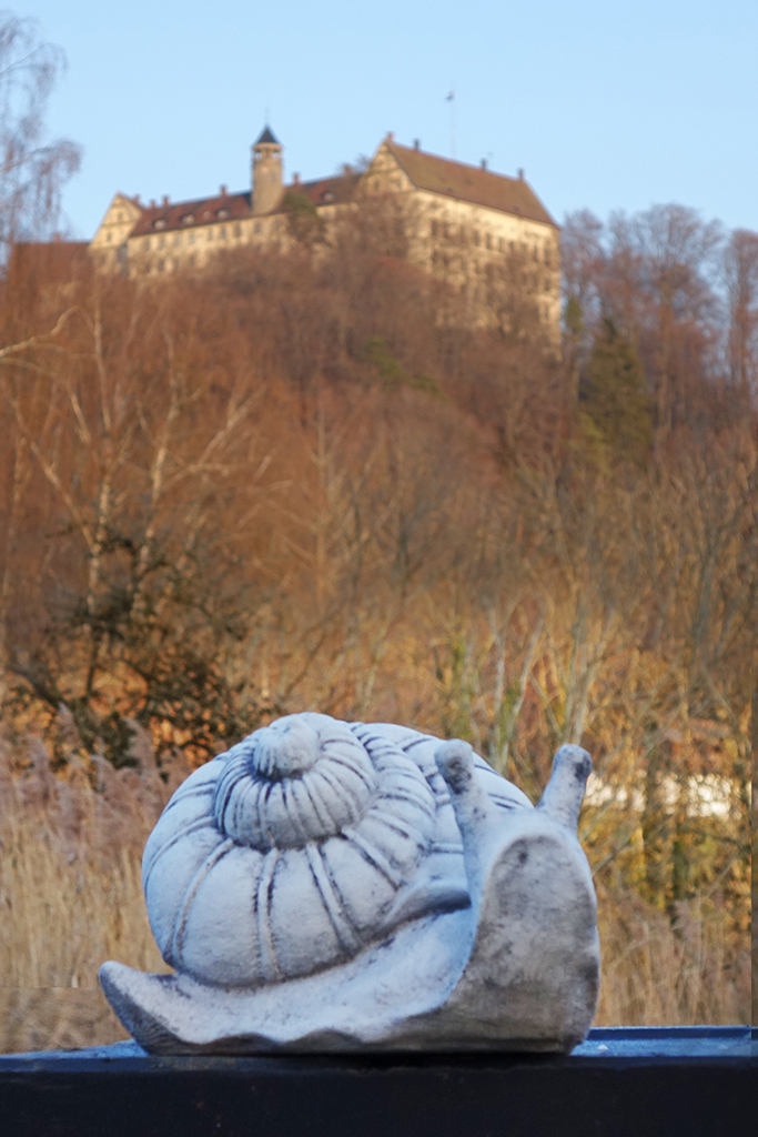 DSC08324 Stein-Schnecke