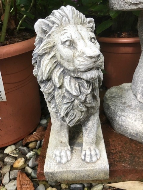 Kleiner Löwe