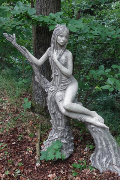 Baumh-terin-Buche-Kopie Baumhüterin Buche