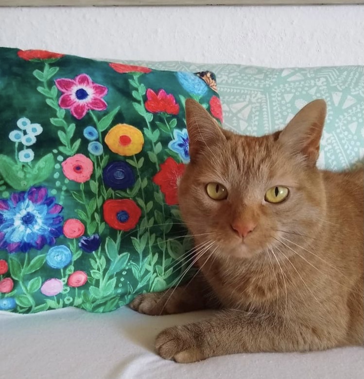 4379C391-1ABB-49BD-9423-187998FABCD8 Kunst Kissen- fine art cushion