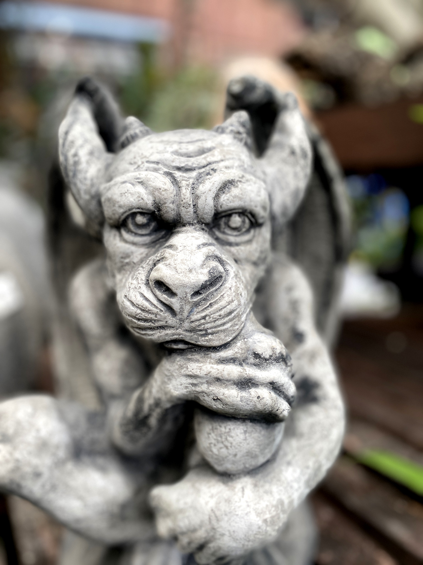 Kleiner Grübel-Gargoyle