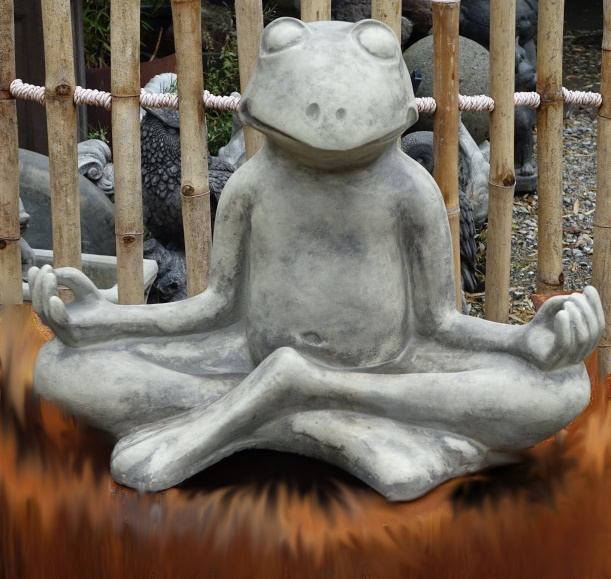 Yoga Frosch