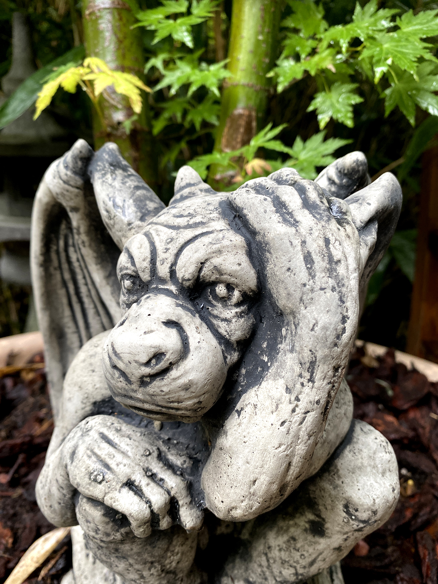 Kleiner ausheckender Gargoyle