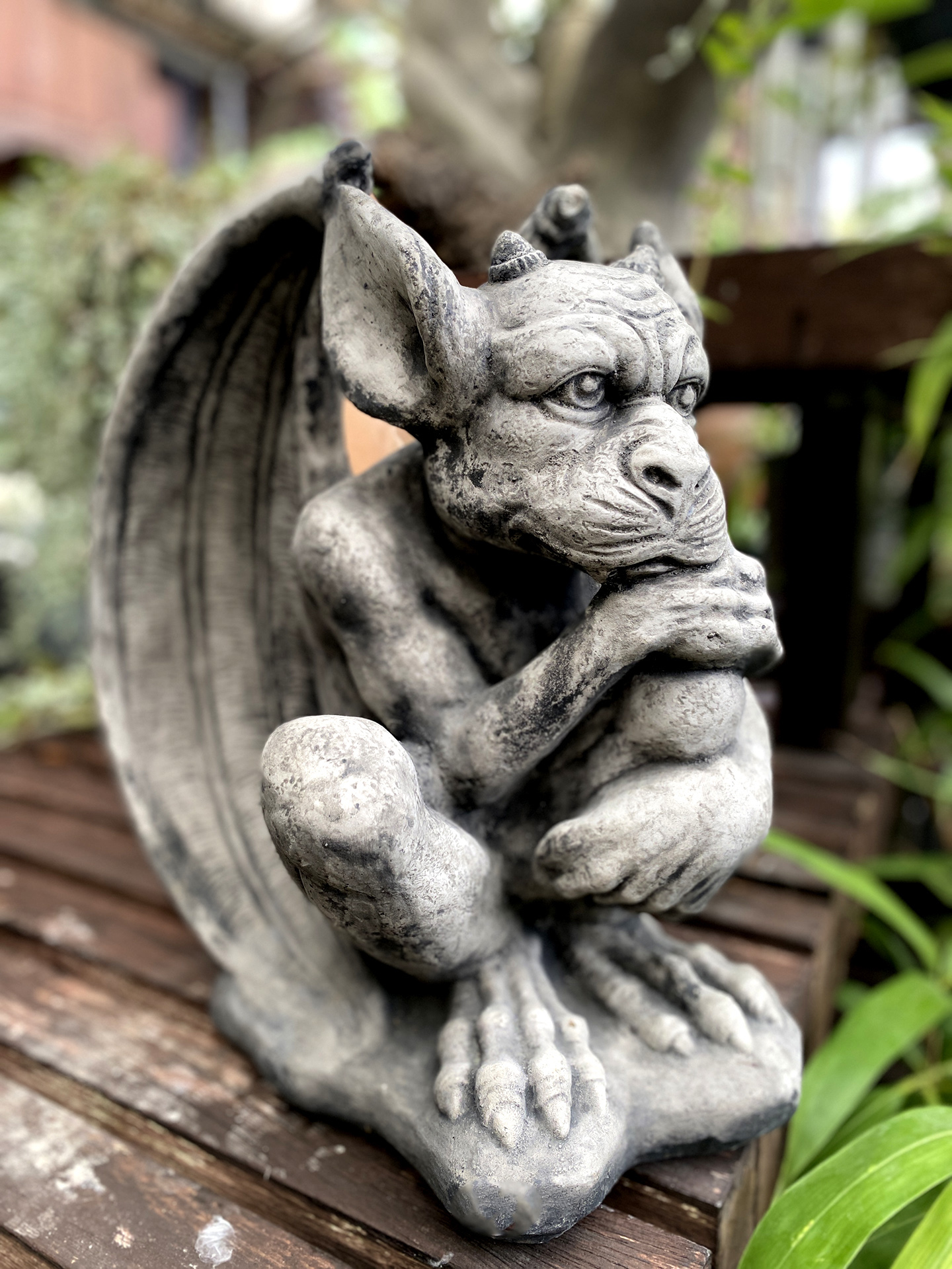 Kleiner Grübel-Gargoyle