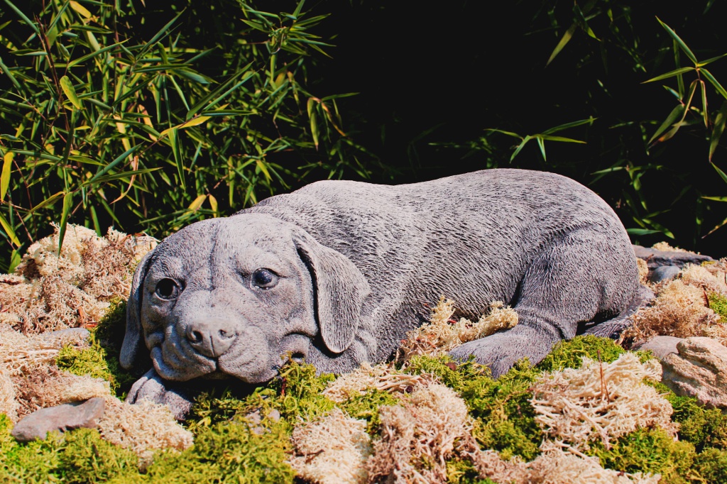 Liegender Labrador