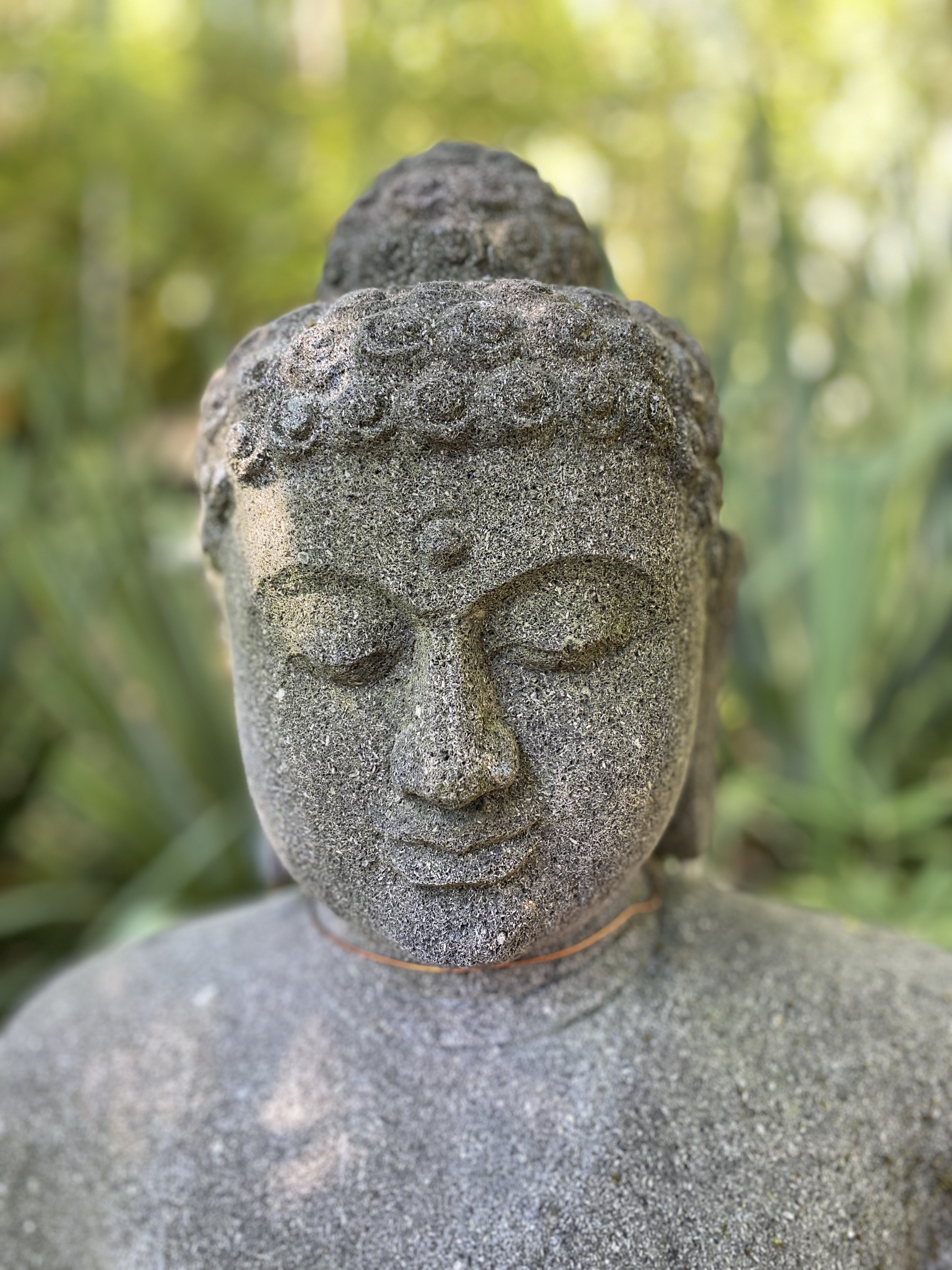 Buddha im Dhyana Mudra der Meditation
