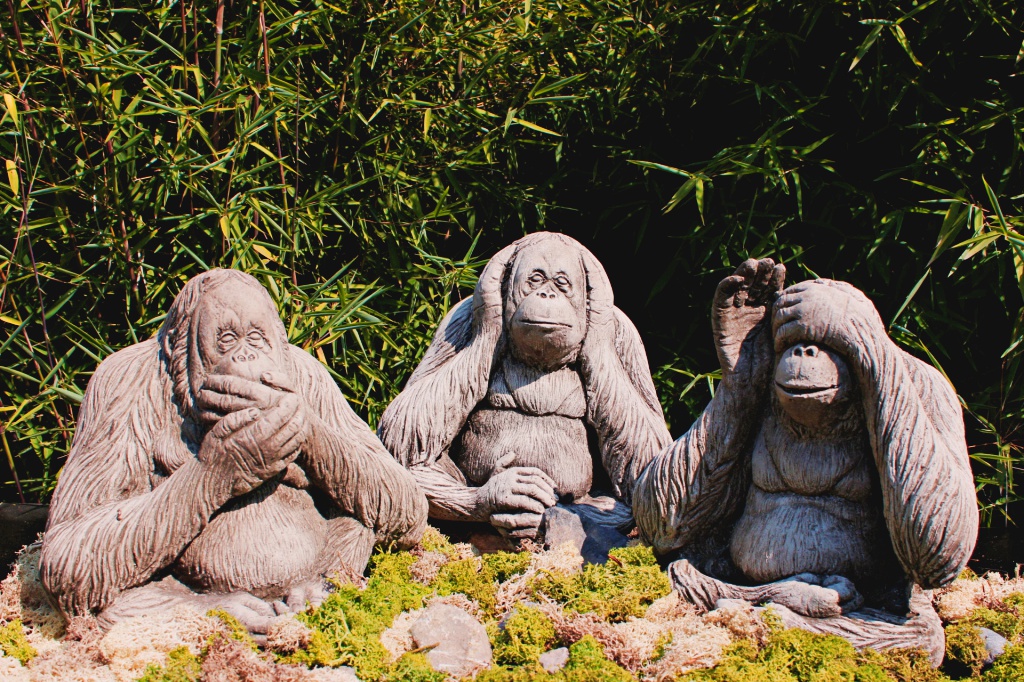 Affen Orang Utans - nicht hörend, nicht sehend, nicht sprechend