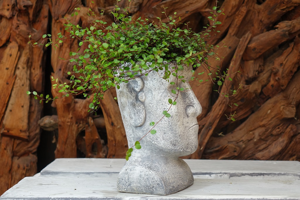 Pflanzkopf-Osterinsel-seitlich Pflanzkopf Osterinsel - Pflanzgefäß