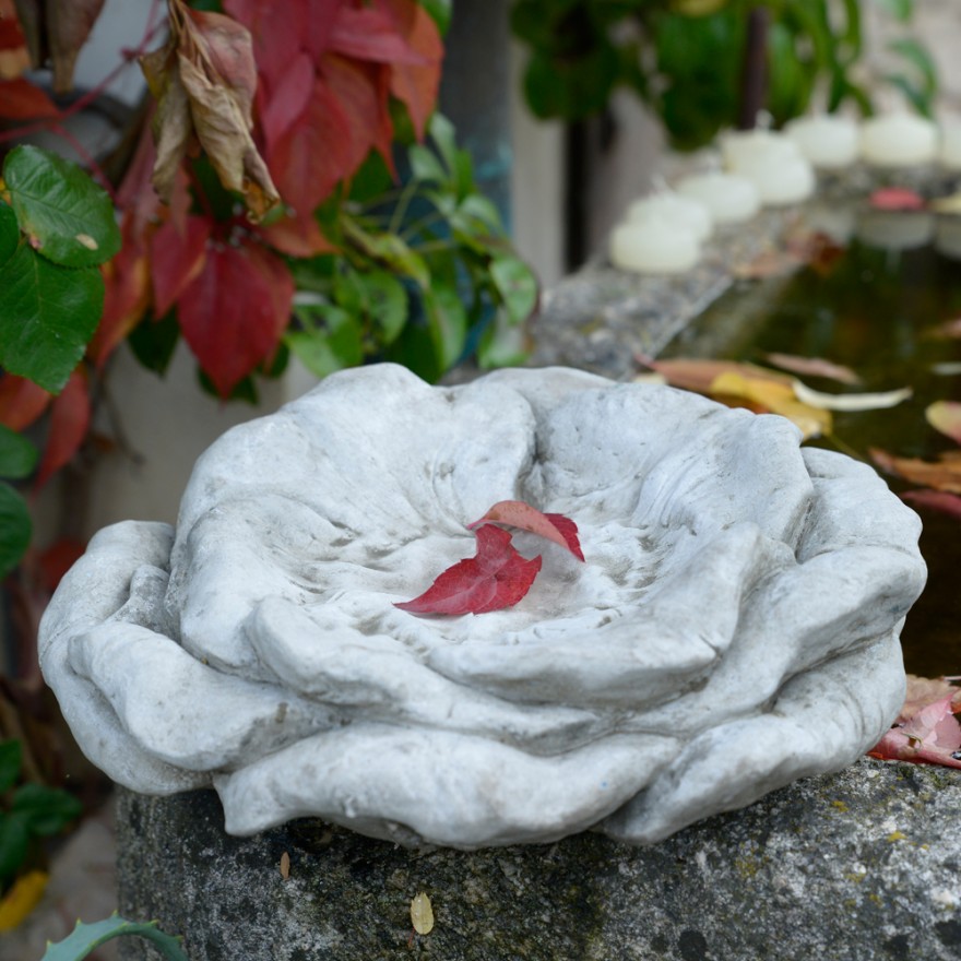 Vogelbad-Rose Blütenförmiges Vogelbad