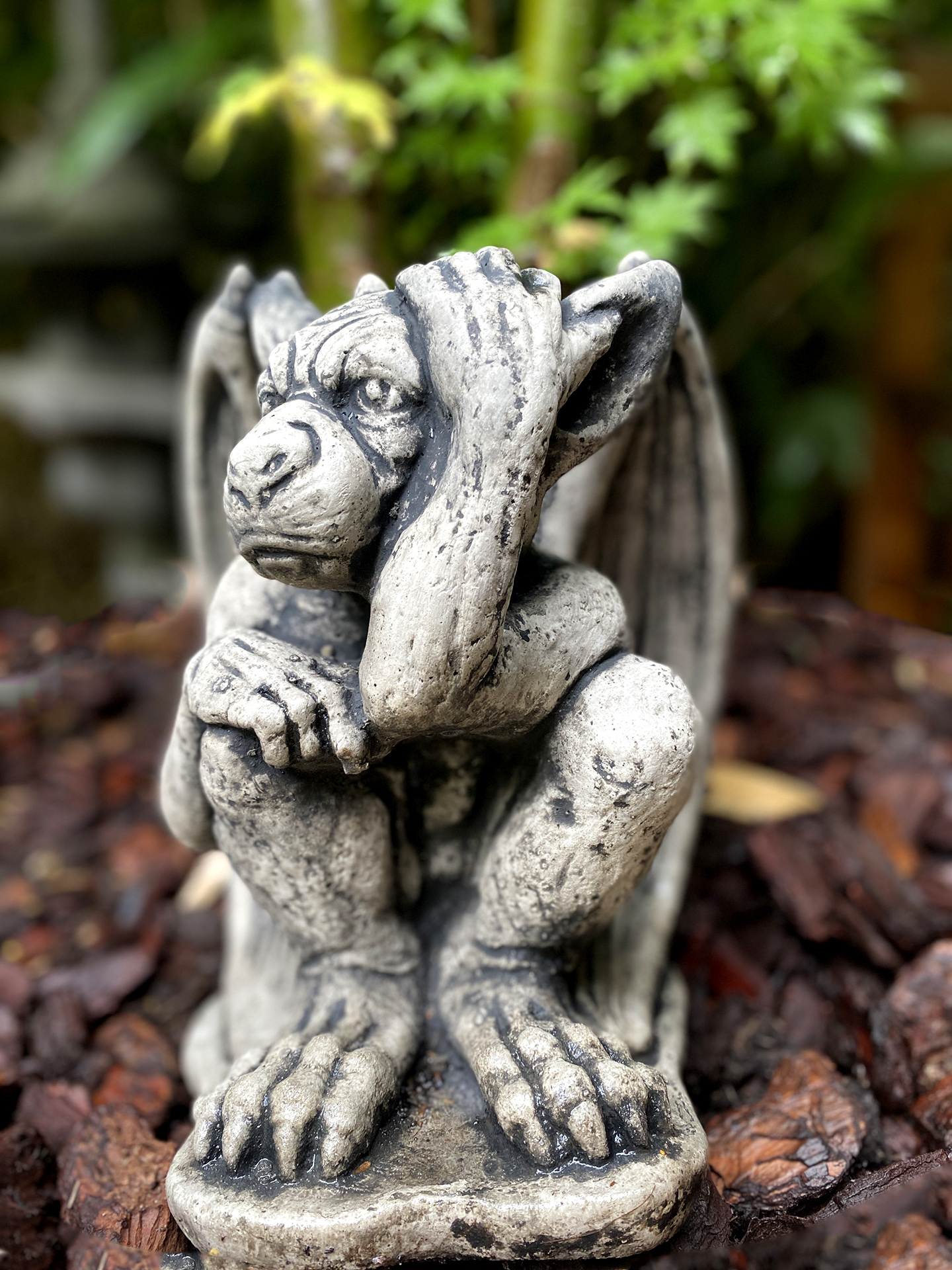 Kleiner ausheckender Gargoyle
