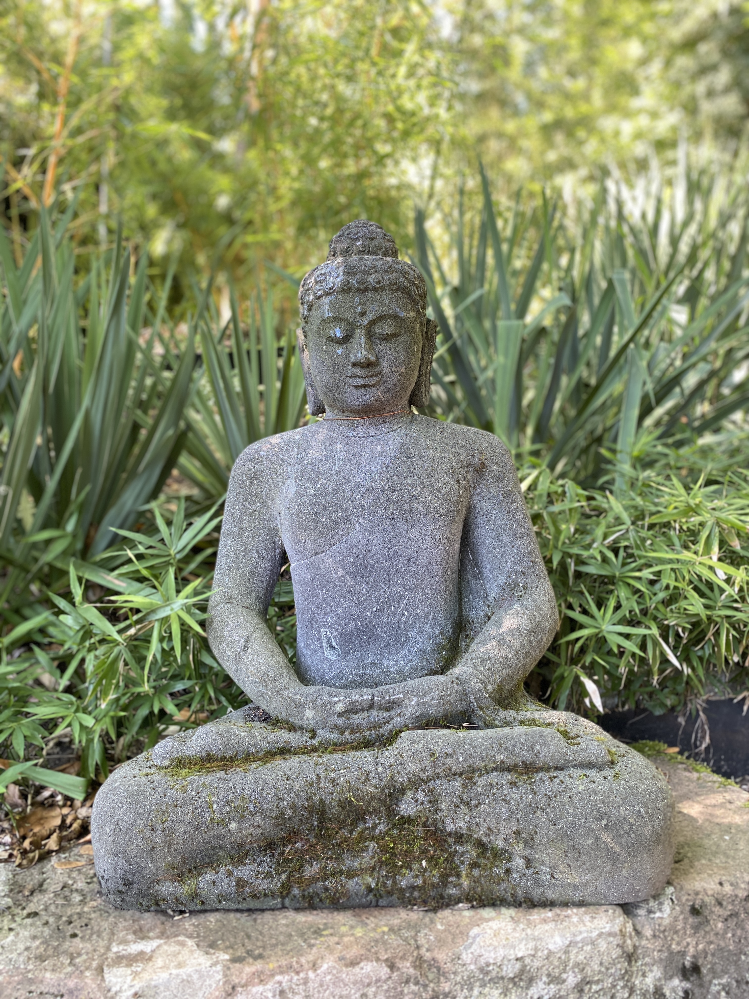 Buddha im Dhyana Mudra der Meditation