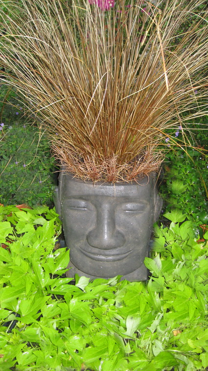 osterinselbreita Osterinselkopf breit