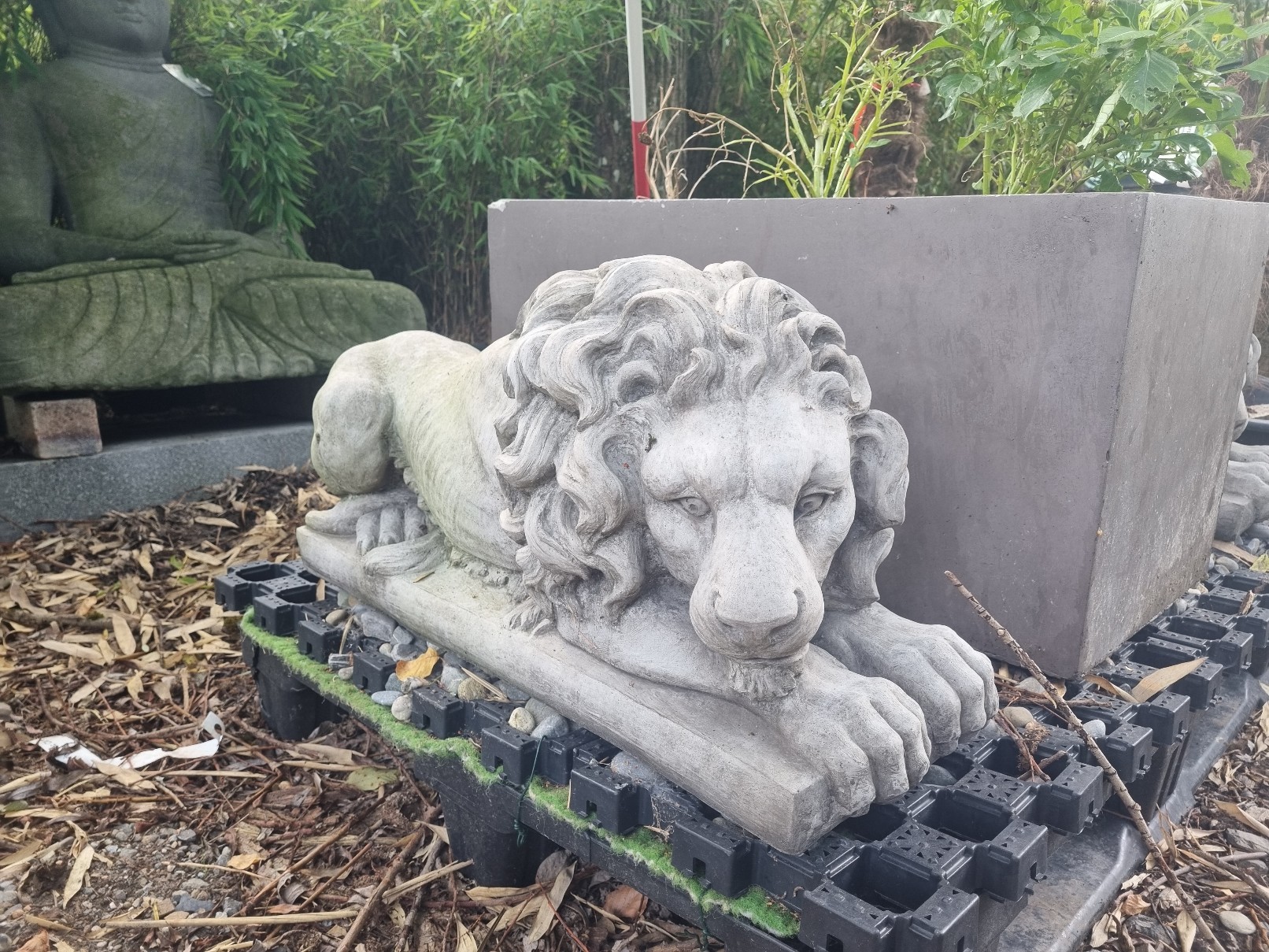 L-we-Krettakotta2 Liegender Löwe