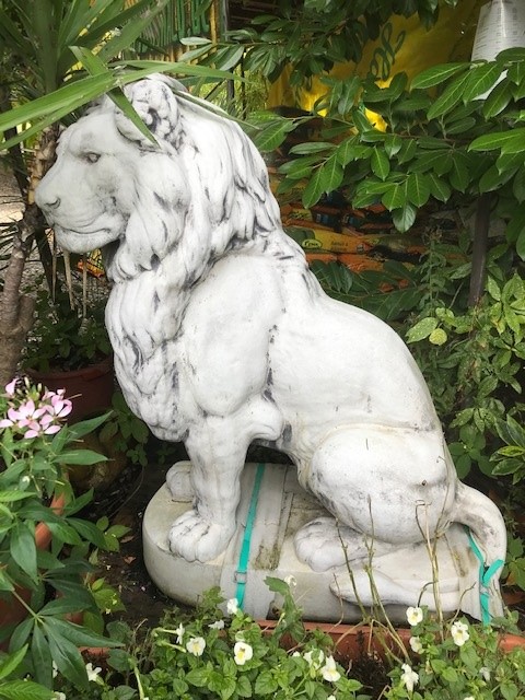 Großer Löwe - 136cm