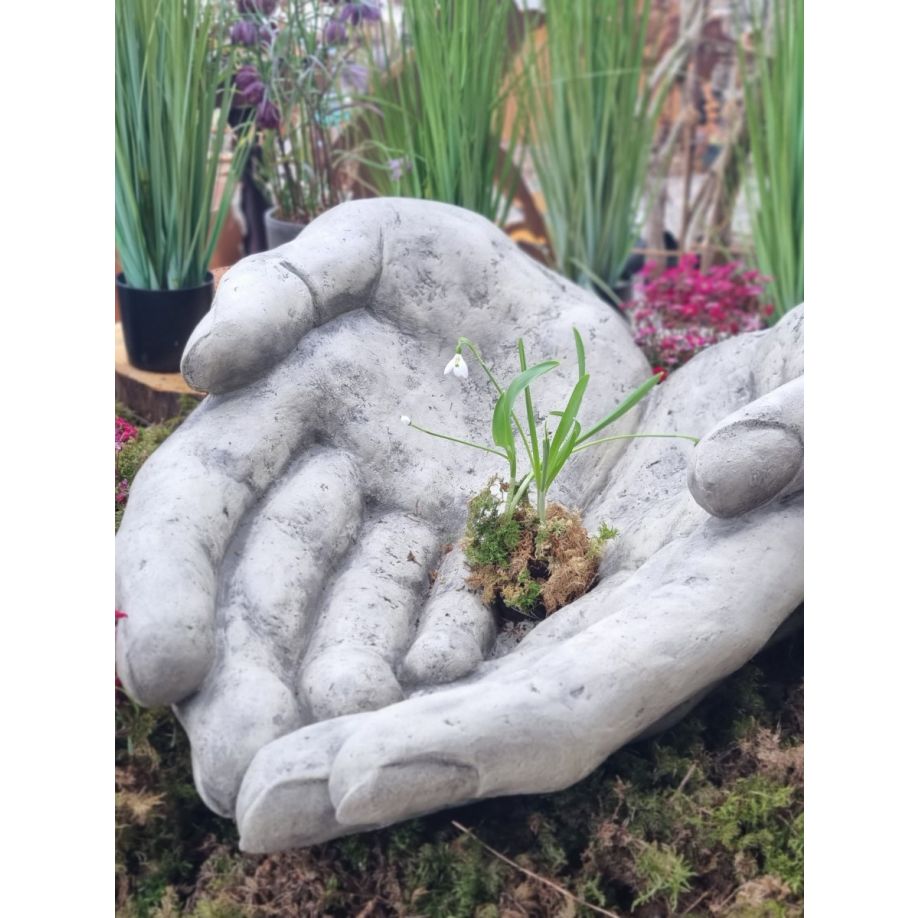 Frauenh-nde2 Geöffnete Frauenhände