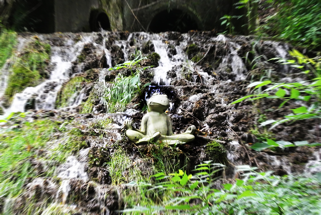 Yoga Frosch