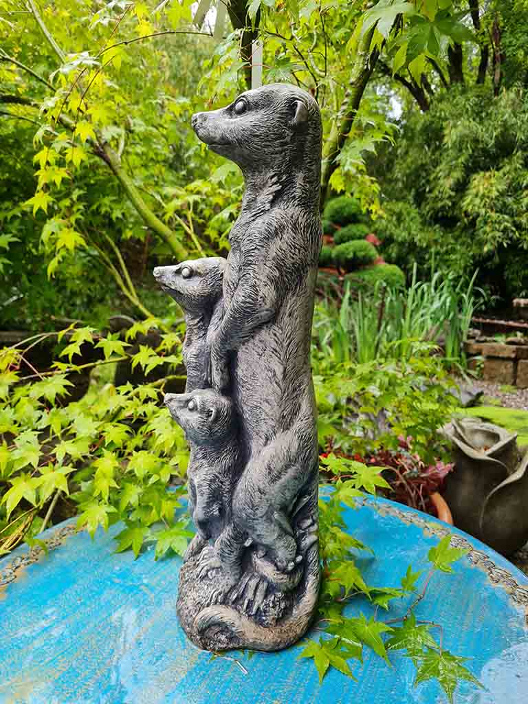 20210715_171828 Erdmännchen Familie