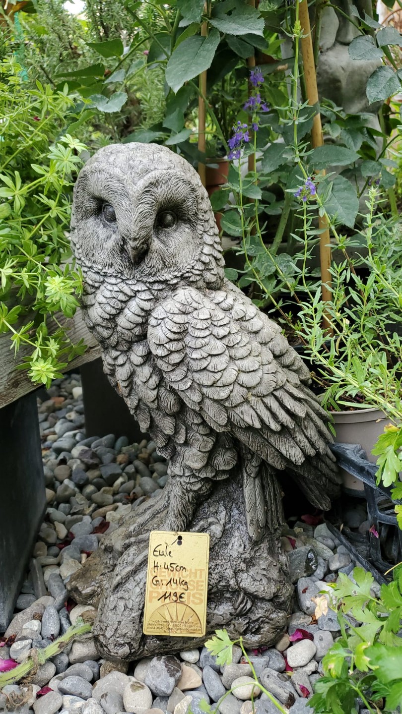 Eule-45cm Stolze Eule