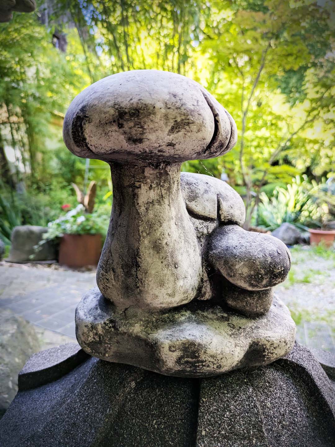 Pilze