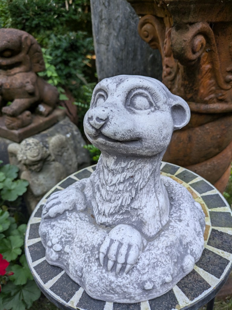 Erdm-nnchen-in-seinem-Bau2 Erdmännchen in seinem Bau