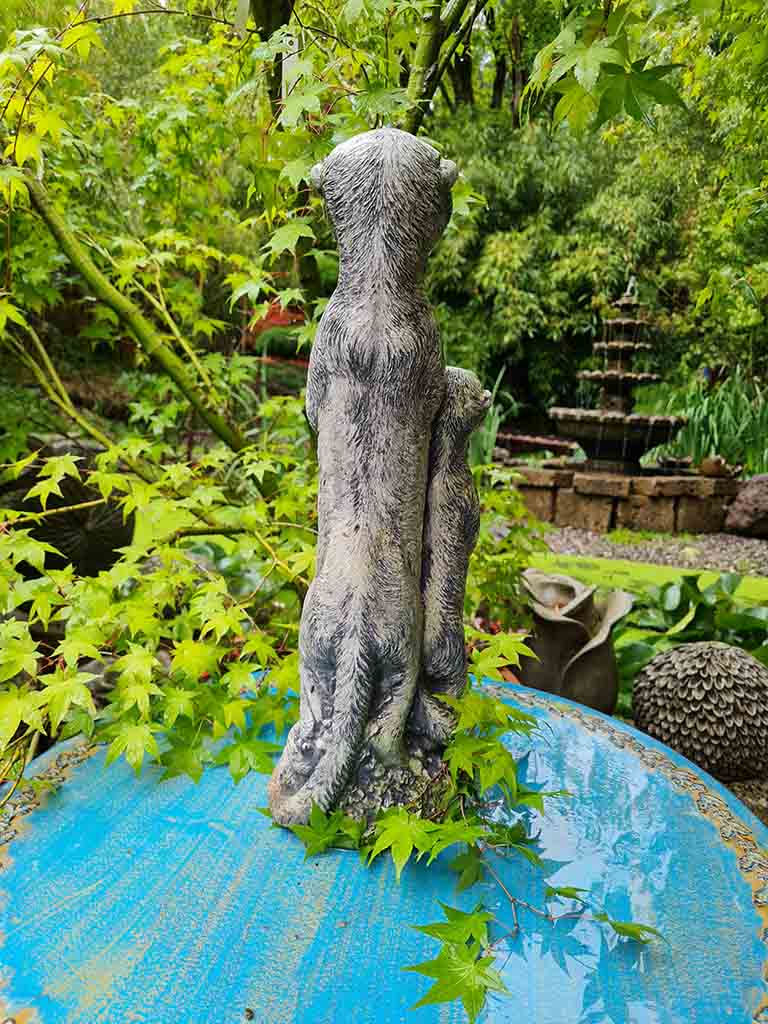 20210715_171839 Erdmännchen Familie