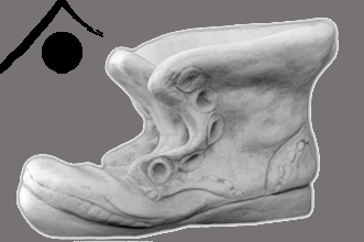 Schuh