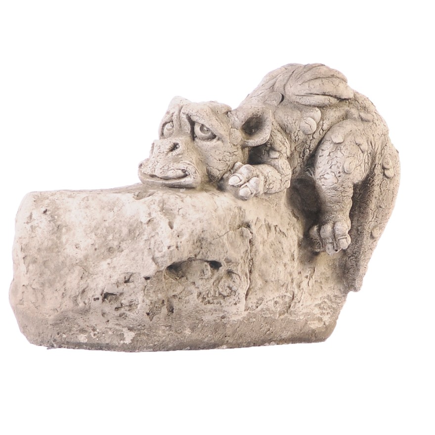 Drache-auf-Stein Drache auf Stein