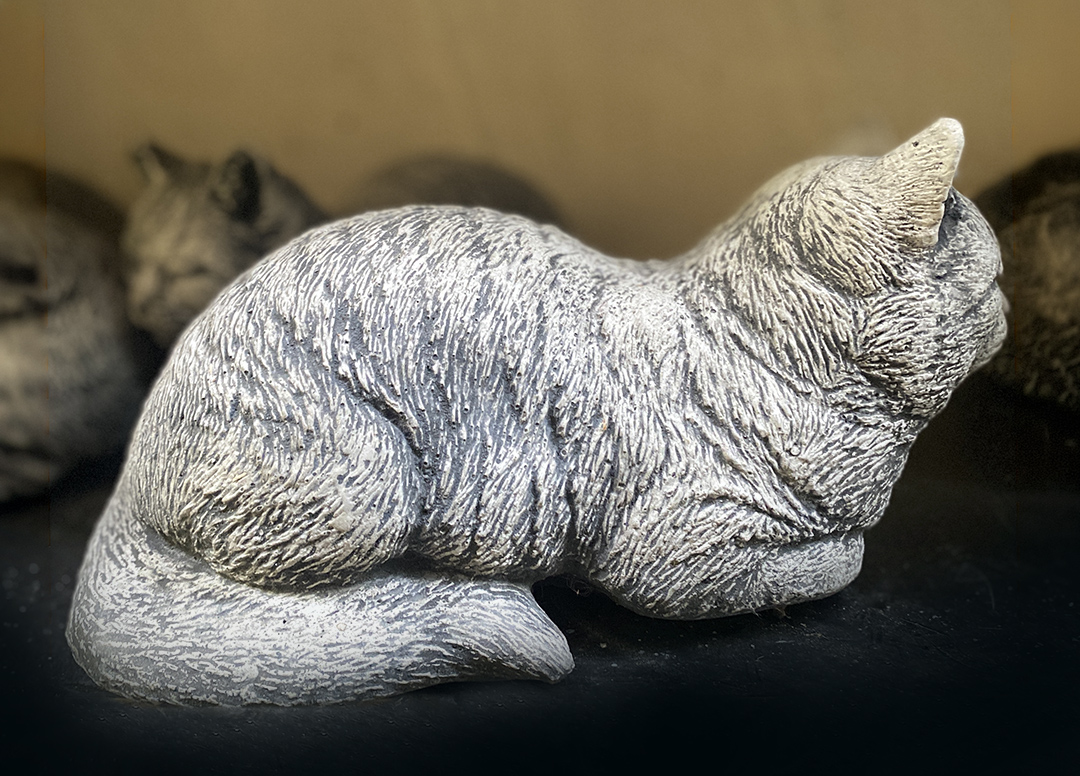 Schlafende Miezekatze