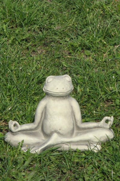 Yoga Frosch