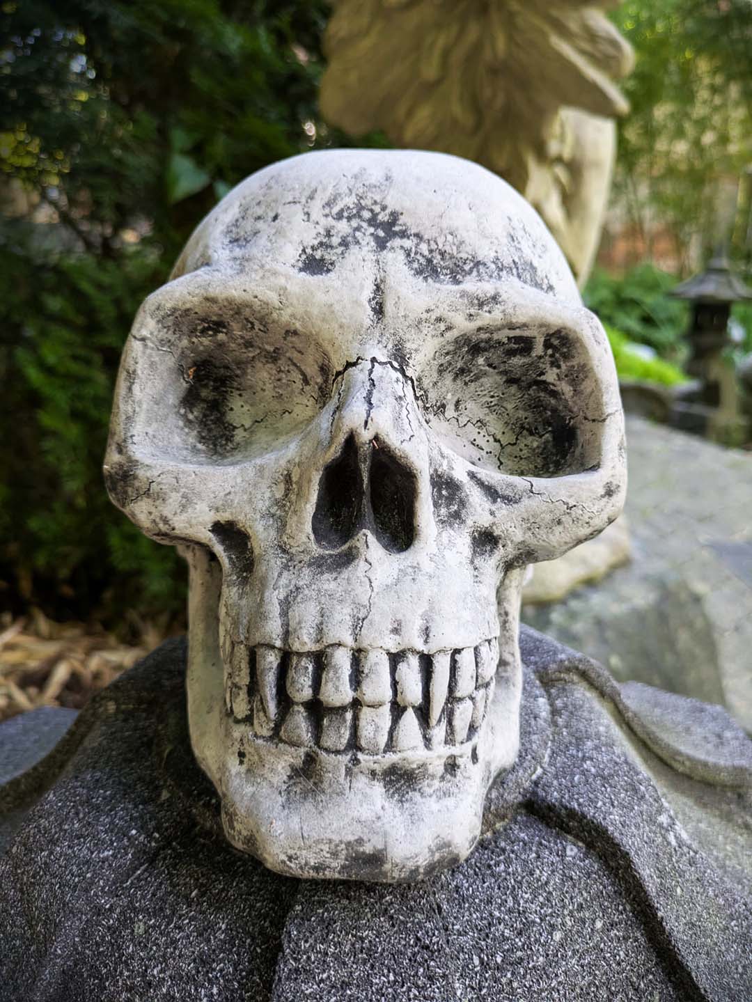 Totenkopf / Schädel
