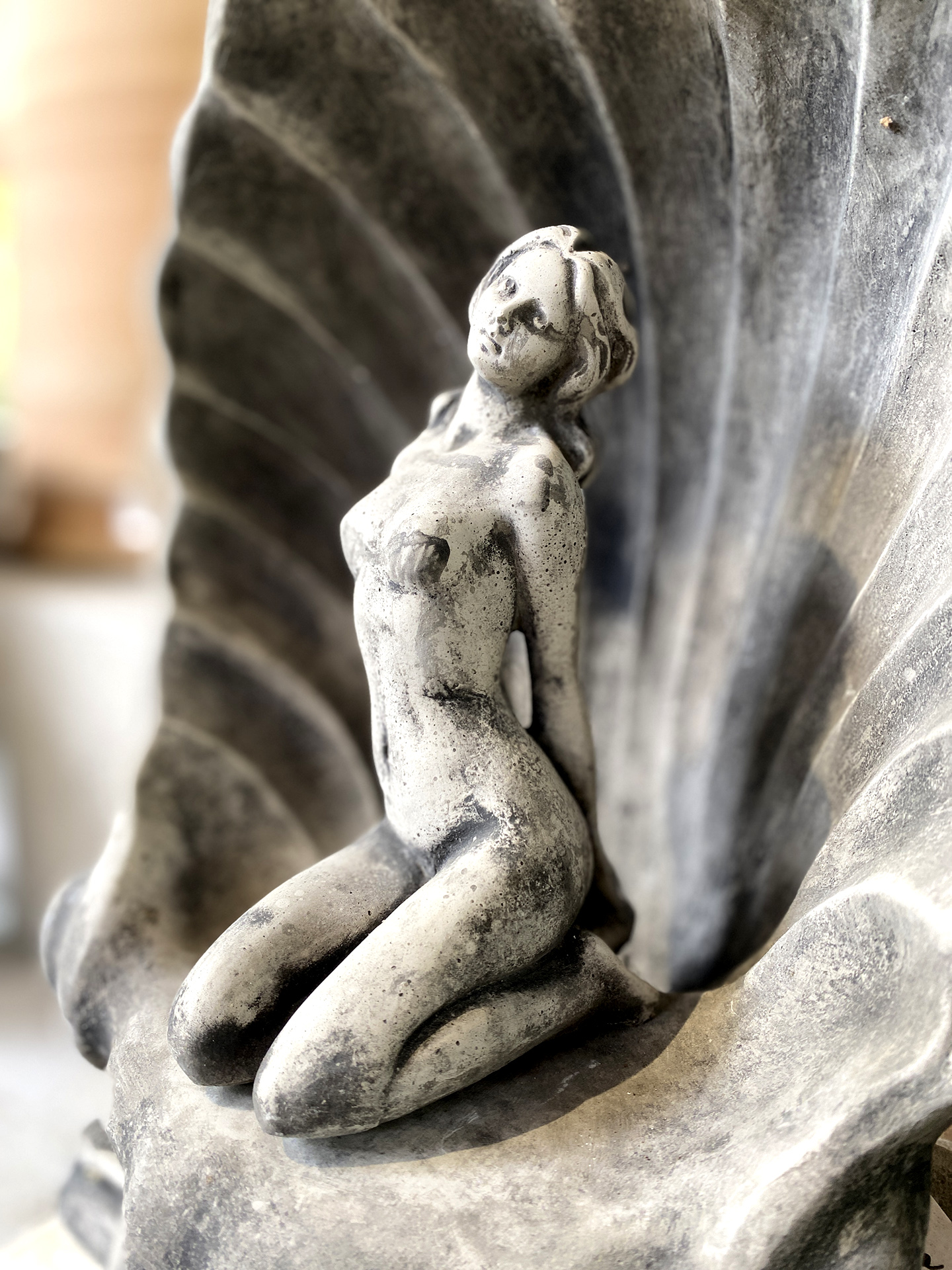 Venus in Muschel